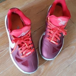 LeBron James Y3 Nike Sneakers